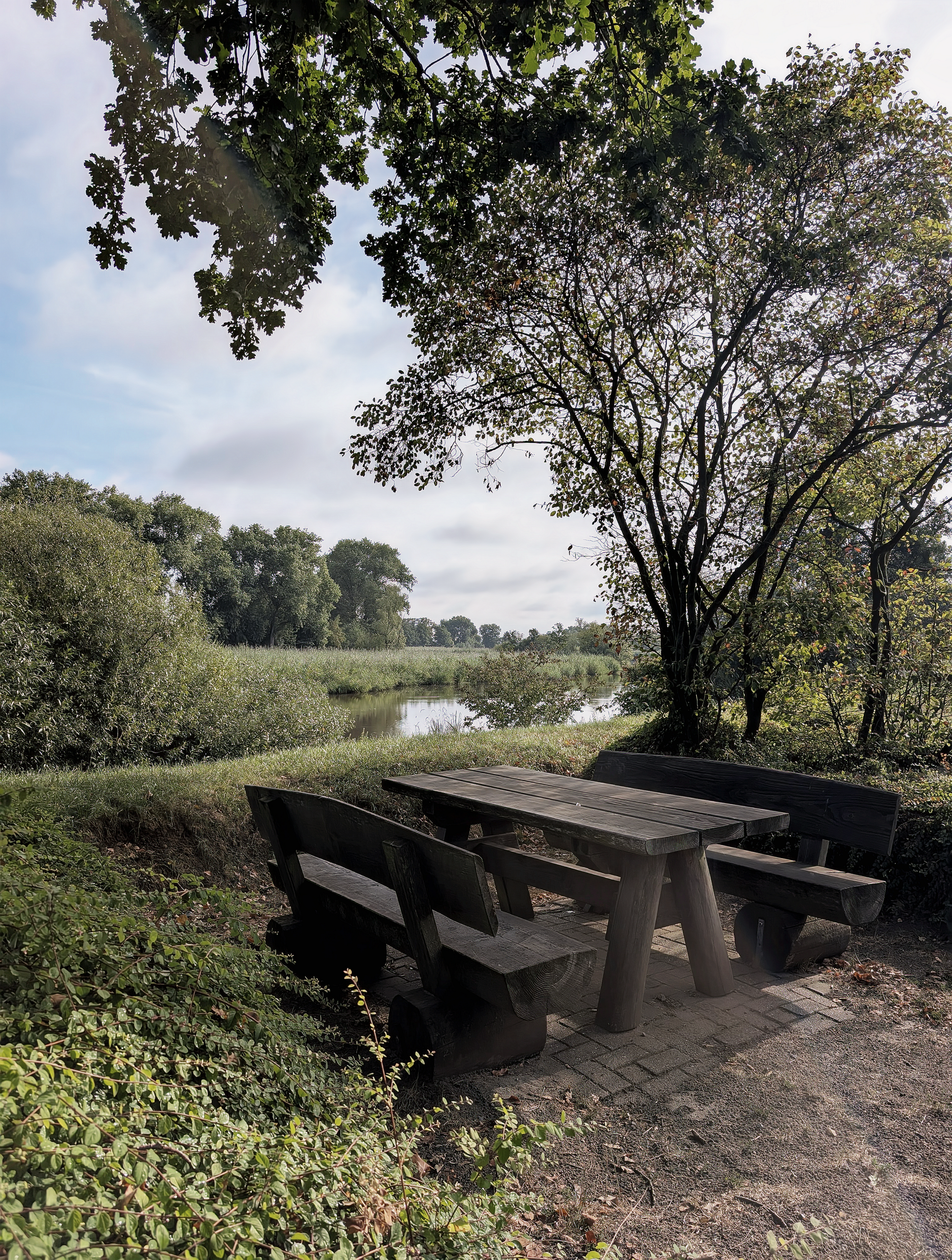 Peaceful picnic table by a riverside surrounded by lush greenery in a serene setting.