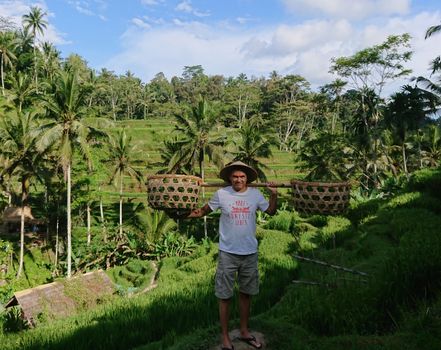 Tegalalang rice terrace walk with a farmer — Bali