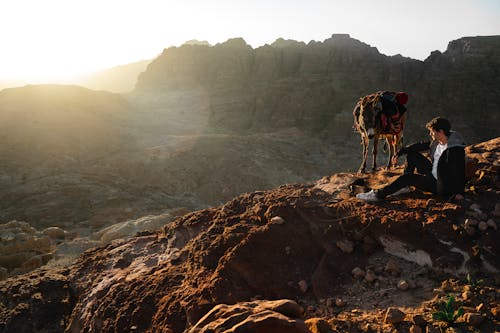 Person Beside A Horse