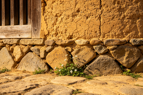 Free Close-up of rustic stone and mud wall with wildflowers growing at its base. Stock Photo