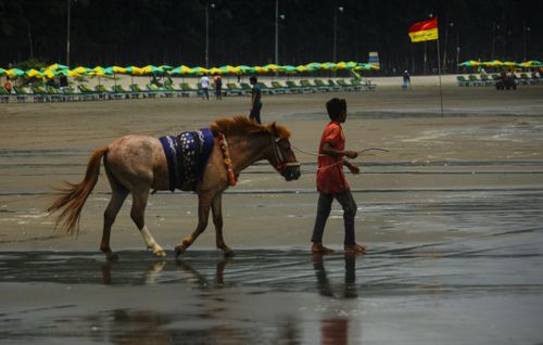 Free A boy walks a decorated horse along the iconic sandy shores of Cox's Bazar, Bangladesh. Stock Photo