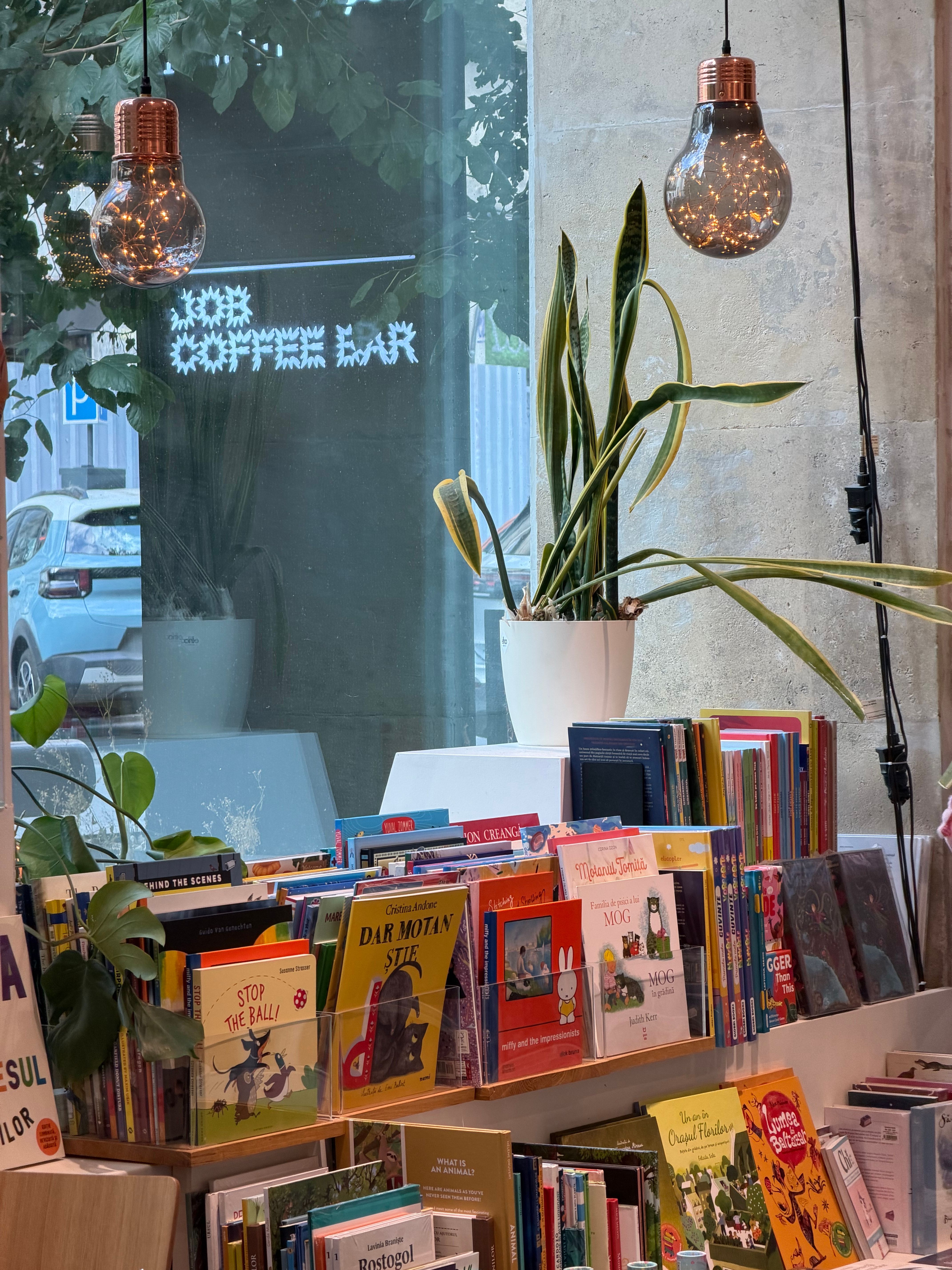 Charming bookstore ambiance in Bucharest with colorful books and green plants.
