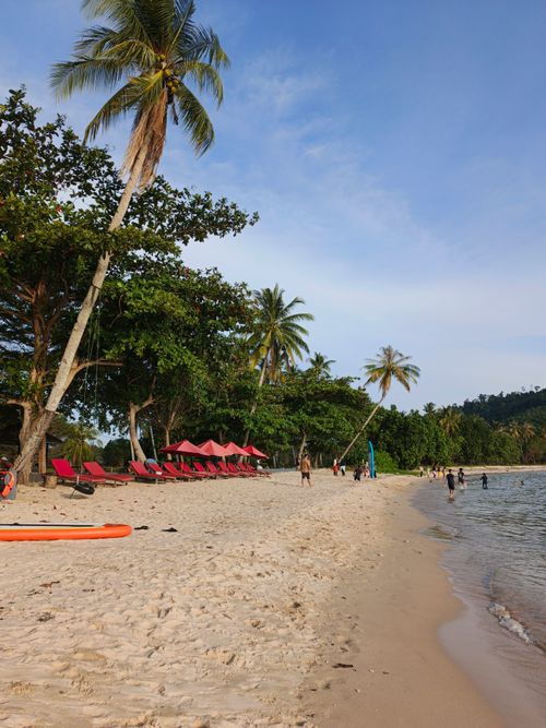 Free Sandy tropical beach with palm trees, red umbrellas, and people enjoying the shore. Stock Photo