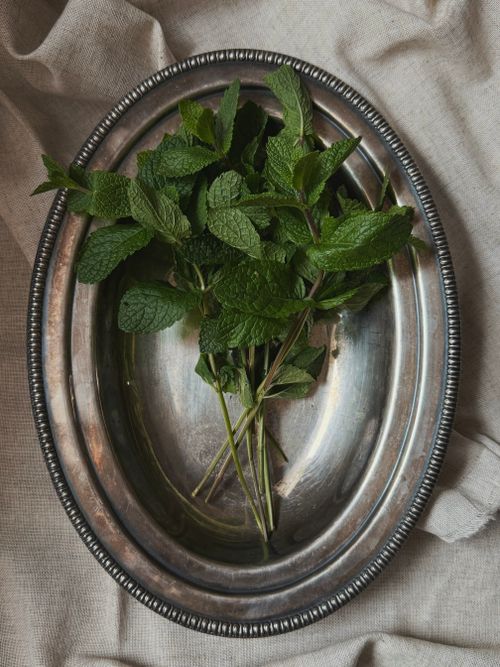 Free A bunch of fresh green mint leaves on a vintage silver platter, perfect for culinary or herbal themes. Stock Photo
