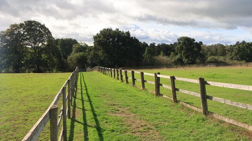 Free Sunlit field with wooden fences and lush greenery in Wybunbury, UK. Stock Photo