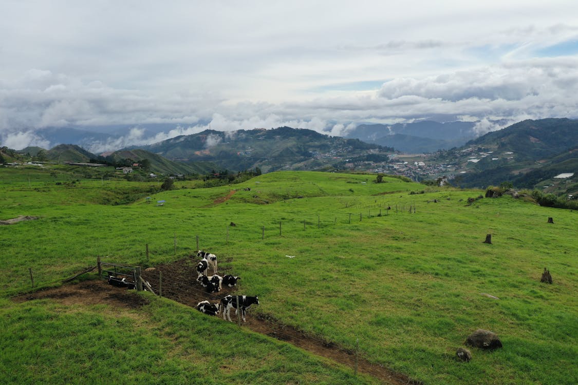 Základová fotografie zdarma na téma dron, farma, hora