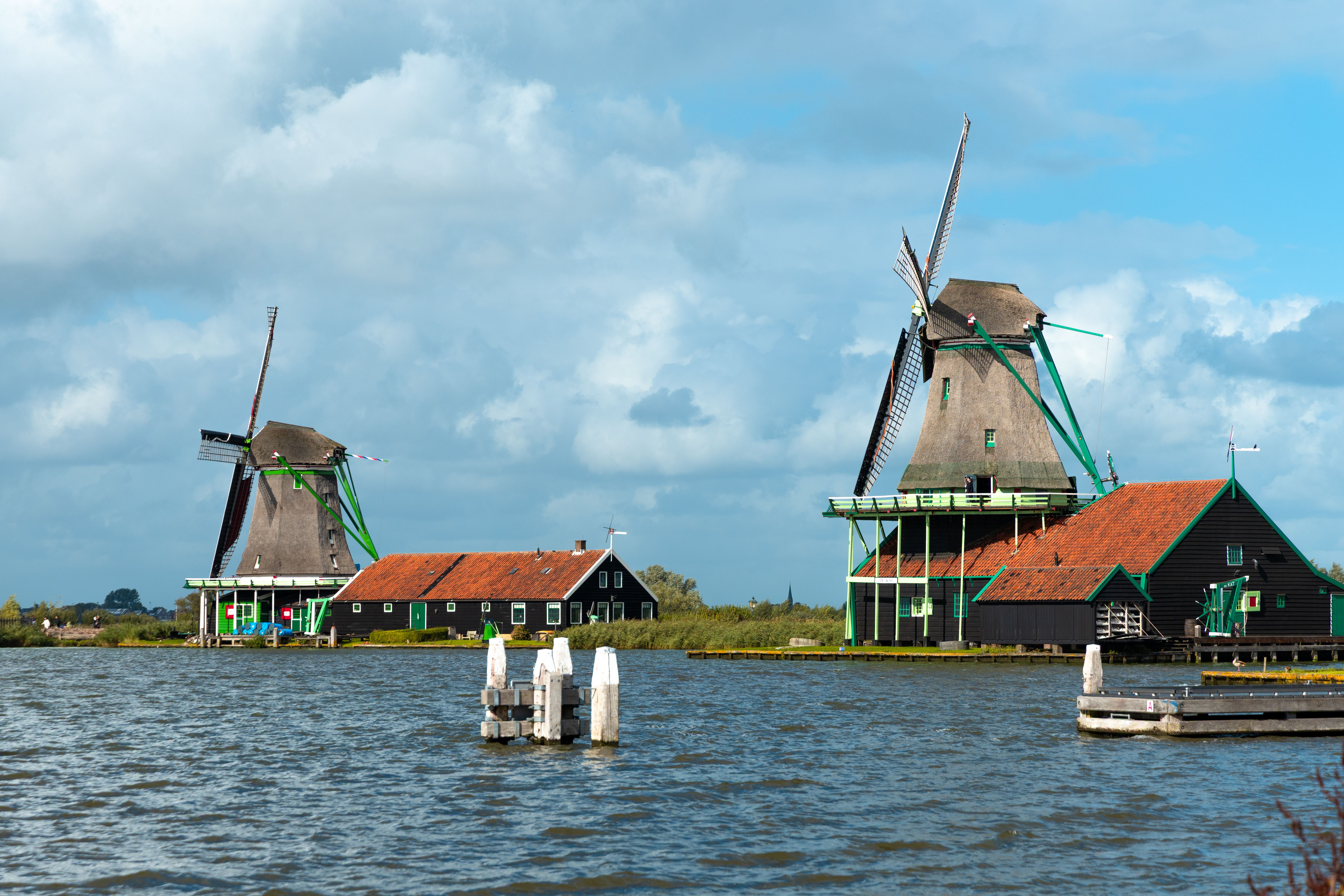 Scenic view of iconic Zaanse Schans windmills in Amsterdam under blue skies.