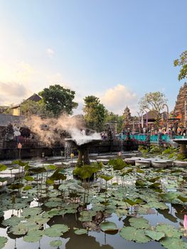Captivating view of the lotus pond at Taman Saraswati Temple in Ubud, Bali, during daytime. - Fotografer Sidoarjo
