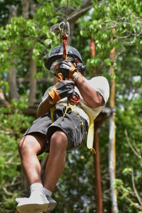 Free Adult enjoying a thrilling ziplining adventure in a dense, green forest. Outdoor excitement and fun. Stock Photo