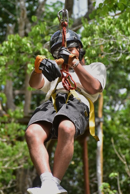 Free Person ziplining through lush forest, showcasing outdoor adventure thrills. Stock Photo