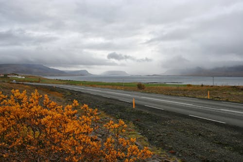 Foto stok gratis alam, Islandia, jalan