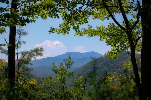 Free A picturesque view of a mountain range framed by lush green trees in a forest setting. Stock Photo