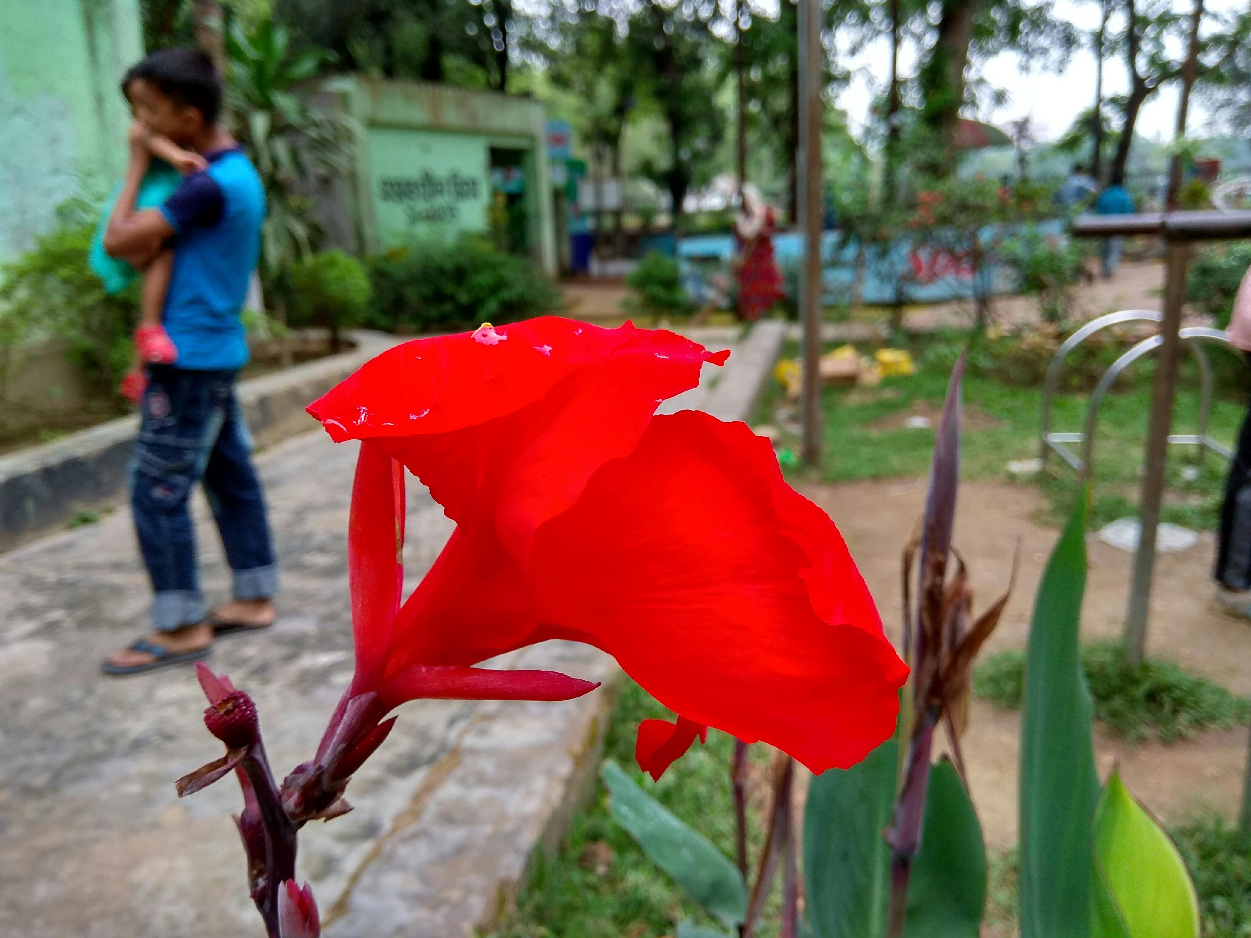Healthy meal with vegetables and protein on a table