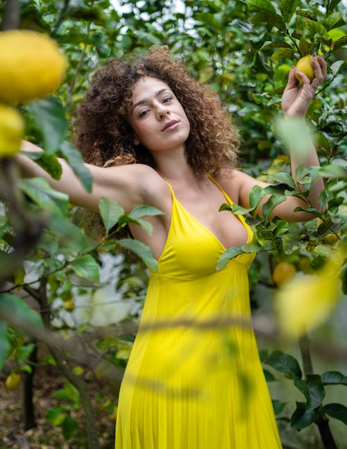 Free Woman Standing Near Lemon Plants  Stock Photo