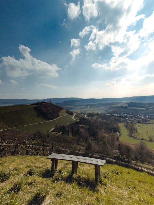 Imagine de stoc gratuită din atmosferă de vară, frumusețea naturii, însorit