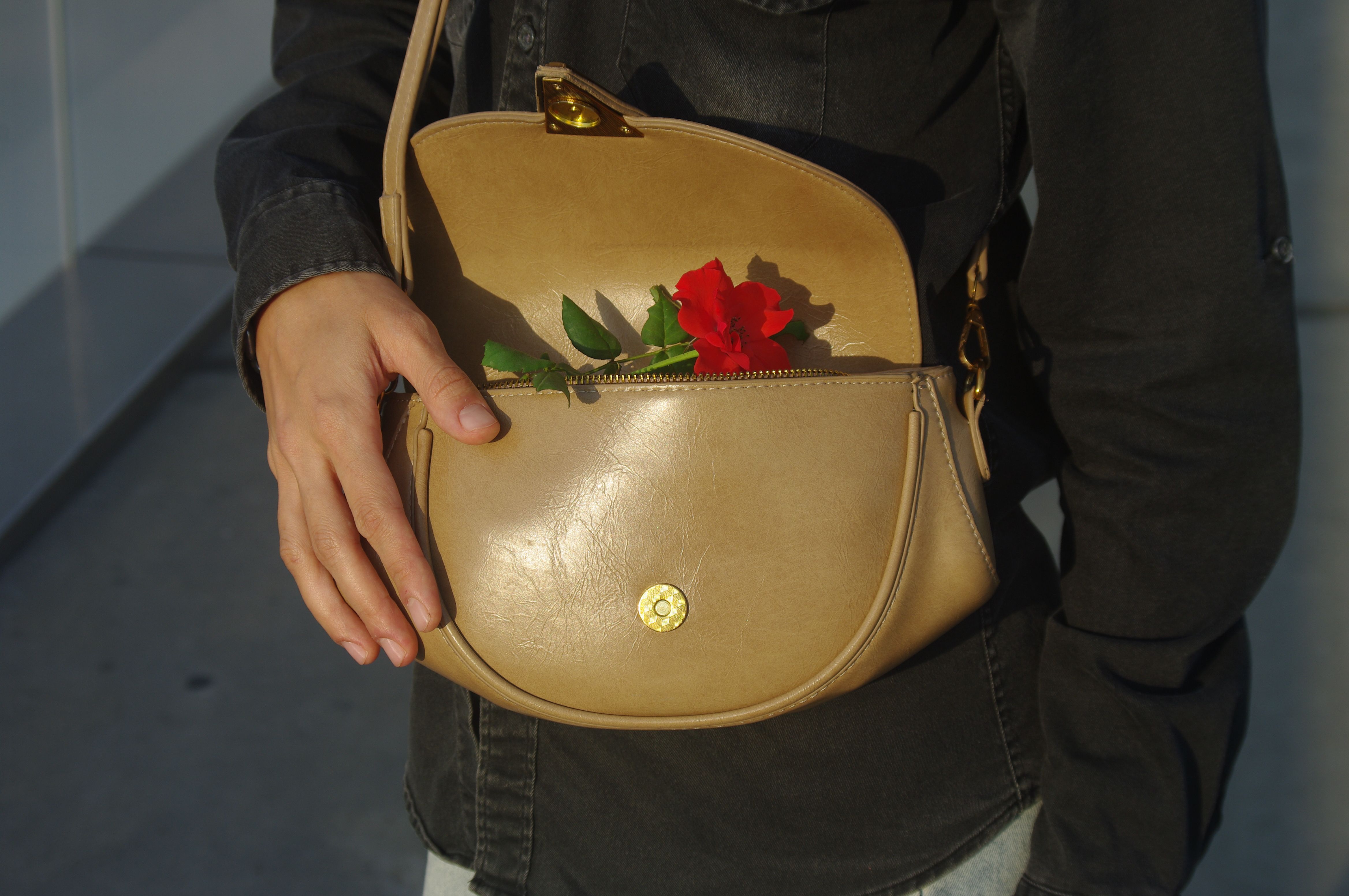 Bolsa Transversal