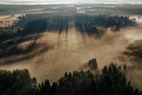 Free Aerial view of a misty forest with dramatic sun rays filtering through. Stock Photo