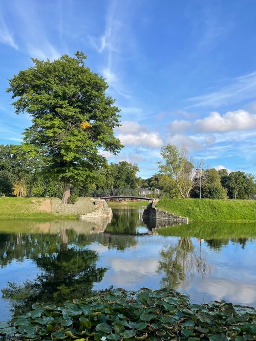Free Idyllic summer view of a bridge and lush greenery reflected in a calm park lake in Kaliningrad, Russia. Stock Photo