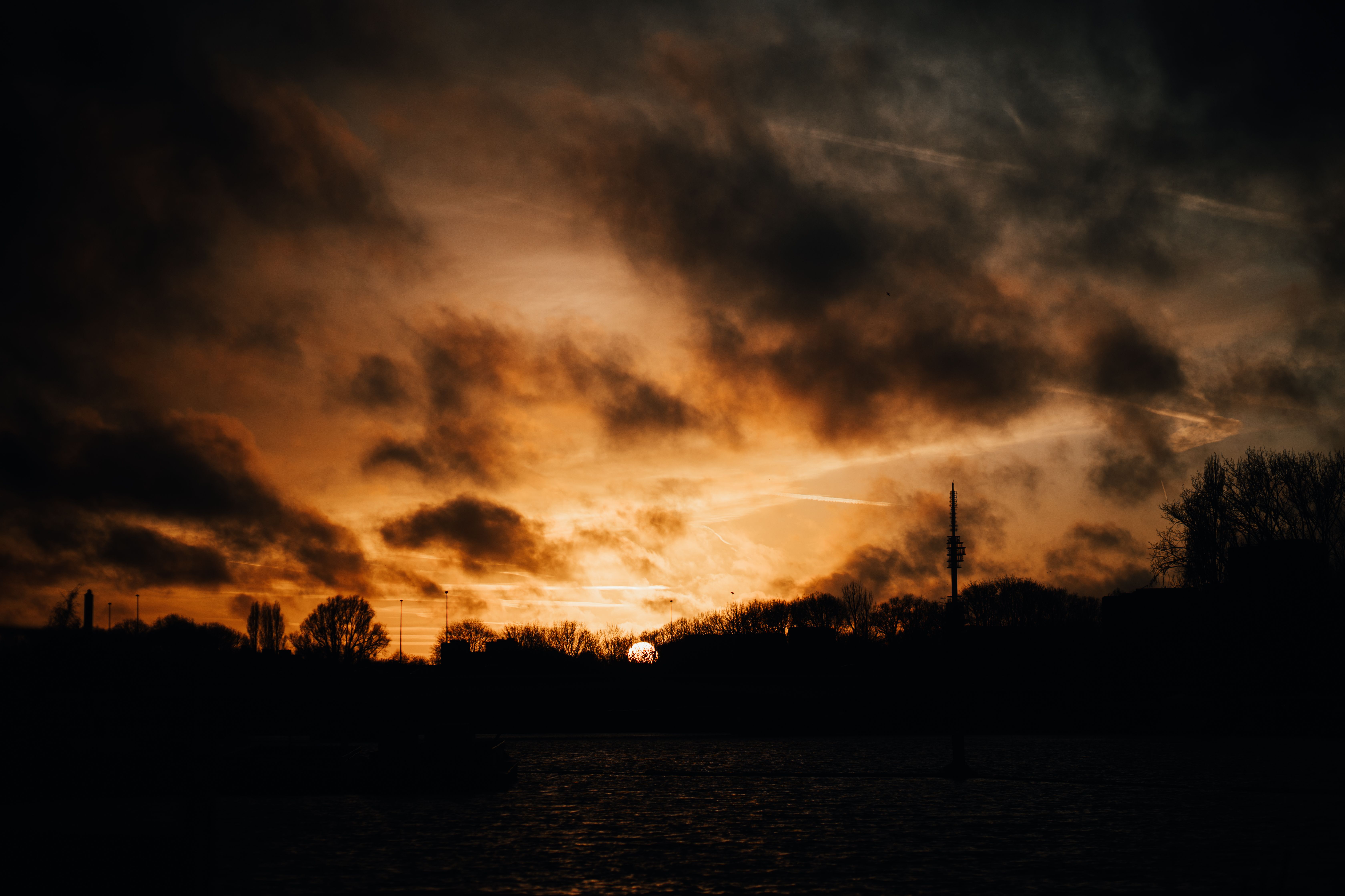 Captivating sunset with silhouetted trees and dramatic clouds in Amsterdam.