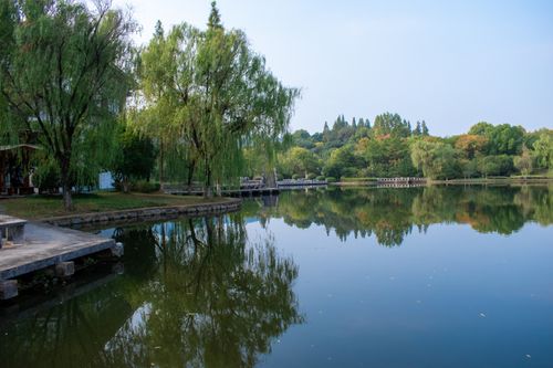Free Peaceful lake scene with lush greenery and willow reflections on a clear summer day. Stock Photo