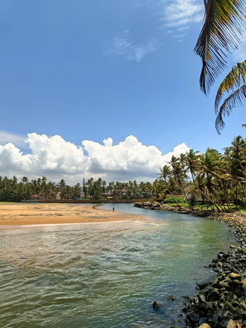 Free Beautiful river flowing into a tropical beach lined with palm trees under a blue sky. Stock Photo