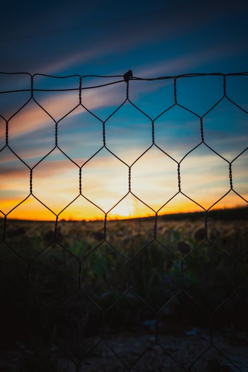 Free A beautiful sunset captured through a wire fence, casting a dramatic silhouette against a vibrant sky. Stock Photo