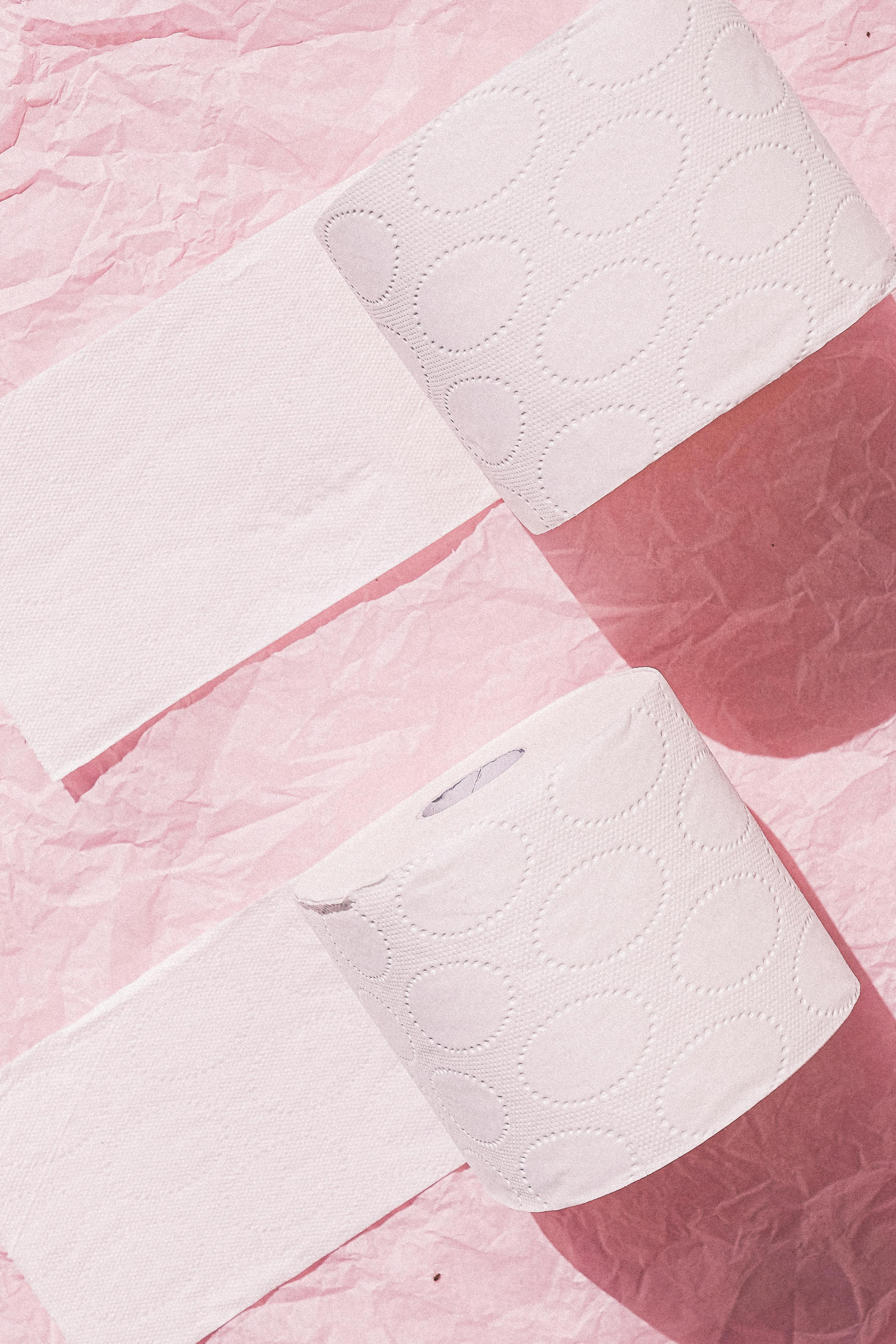 Toilet Papers on Pink Background · Free Stock Photo