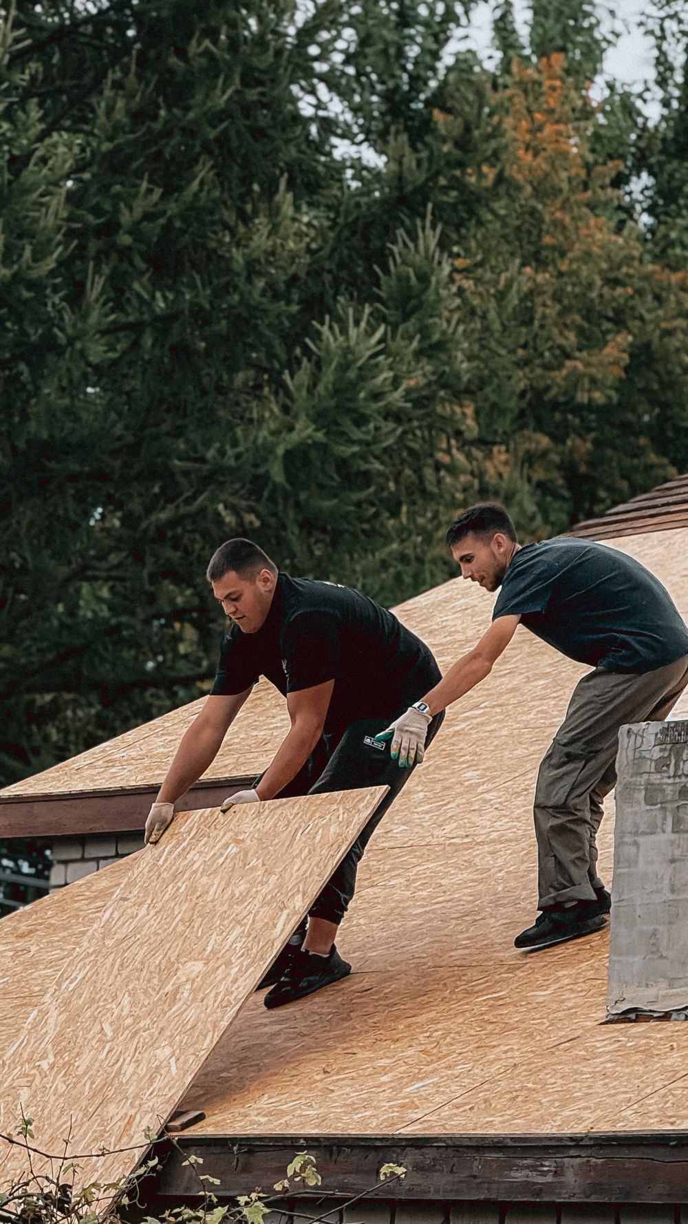 Two roofing workers installing plywood on a roof surrounded by green trees