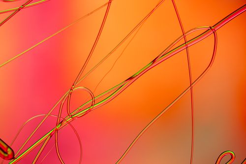 Free Colorful abstract image featuring dynamic lines and curves on a vibrant background. Stock Photo