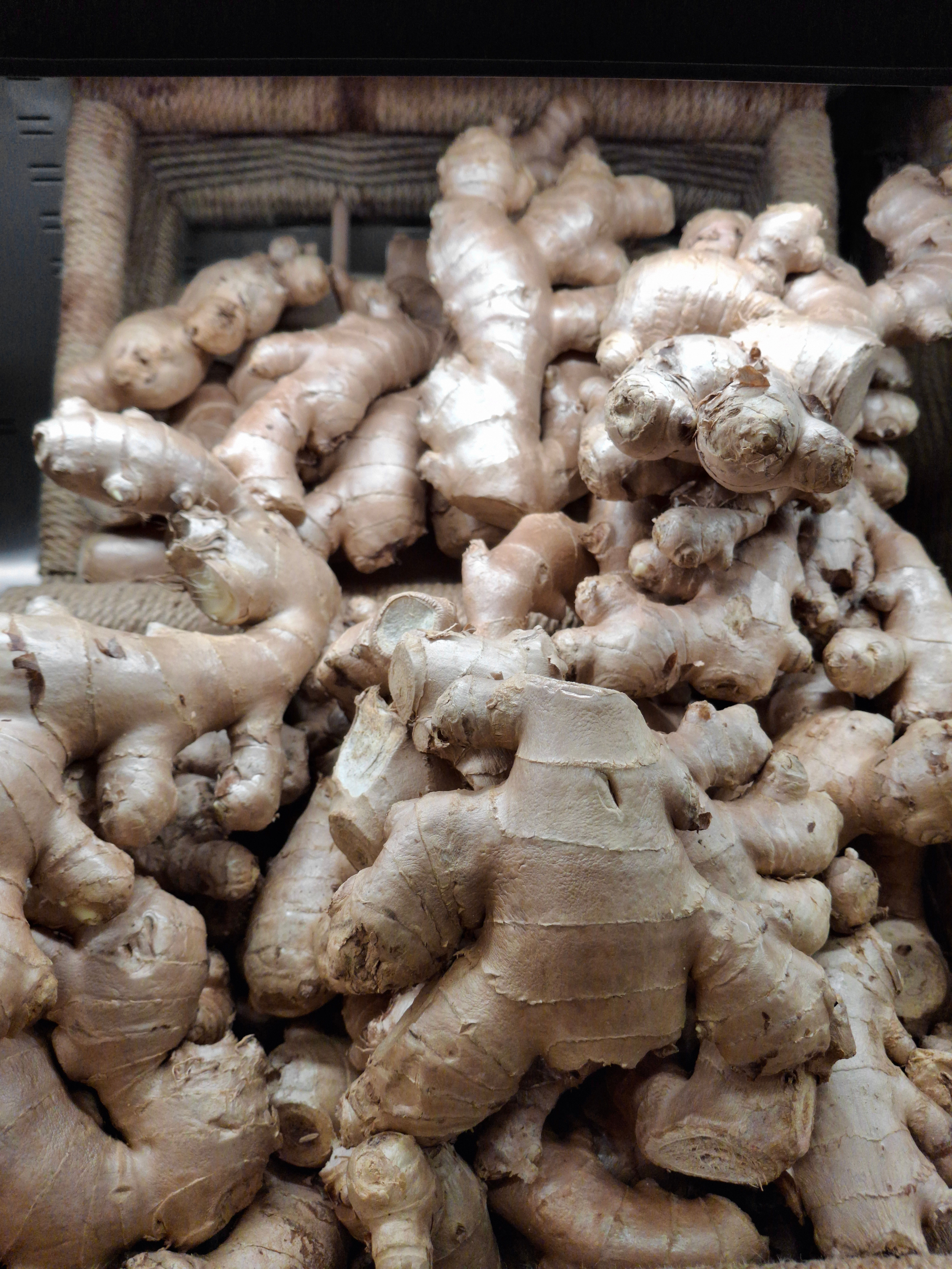 fresh ginger root ingredients
