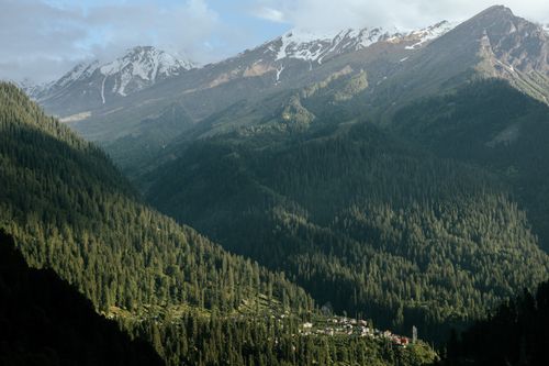 Free A beautiful mountain valley with dense pine forests and snow-capped peaks under a clear sky. Stock Photo