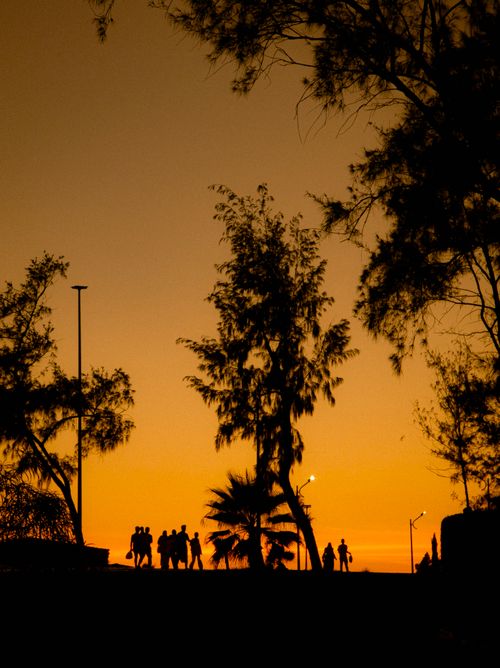 Free A breathtaking silhouette scene with trees and people against a vibrant sunset sky. Stock Photo