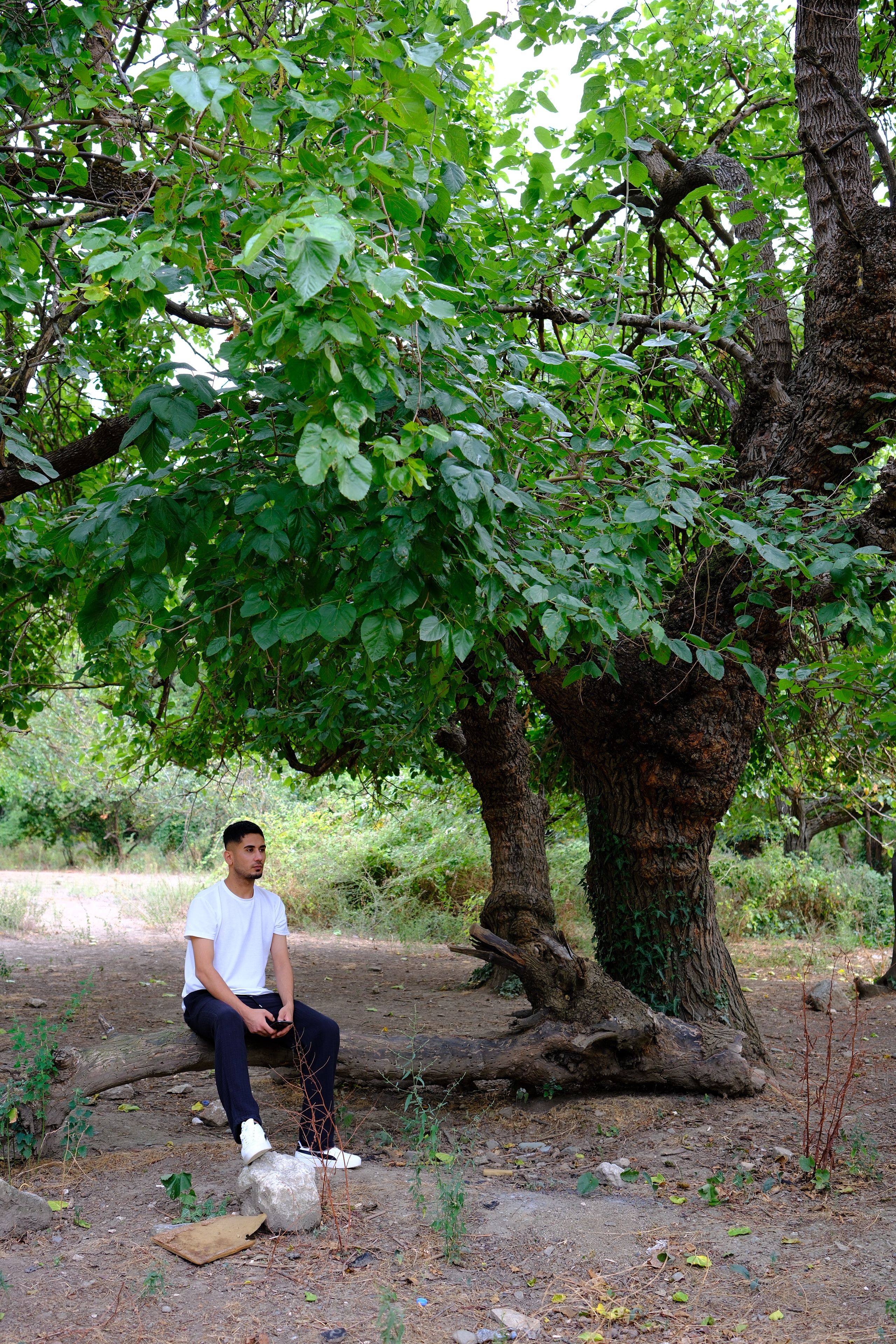A young man sits under a lush leafy tree in Bursa, Türkiye, enjoying a peaceful day outdoors.