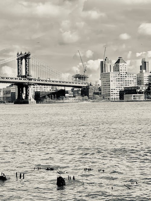 Grayscale Photo Of Bridge Over Water