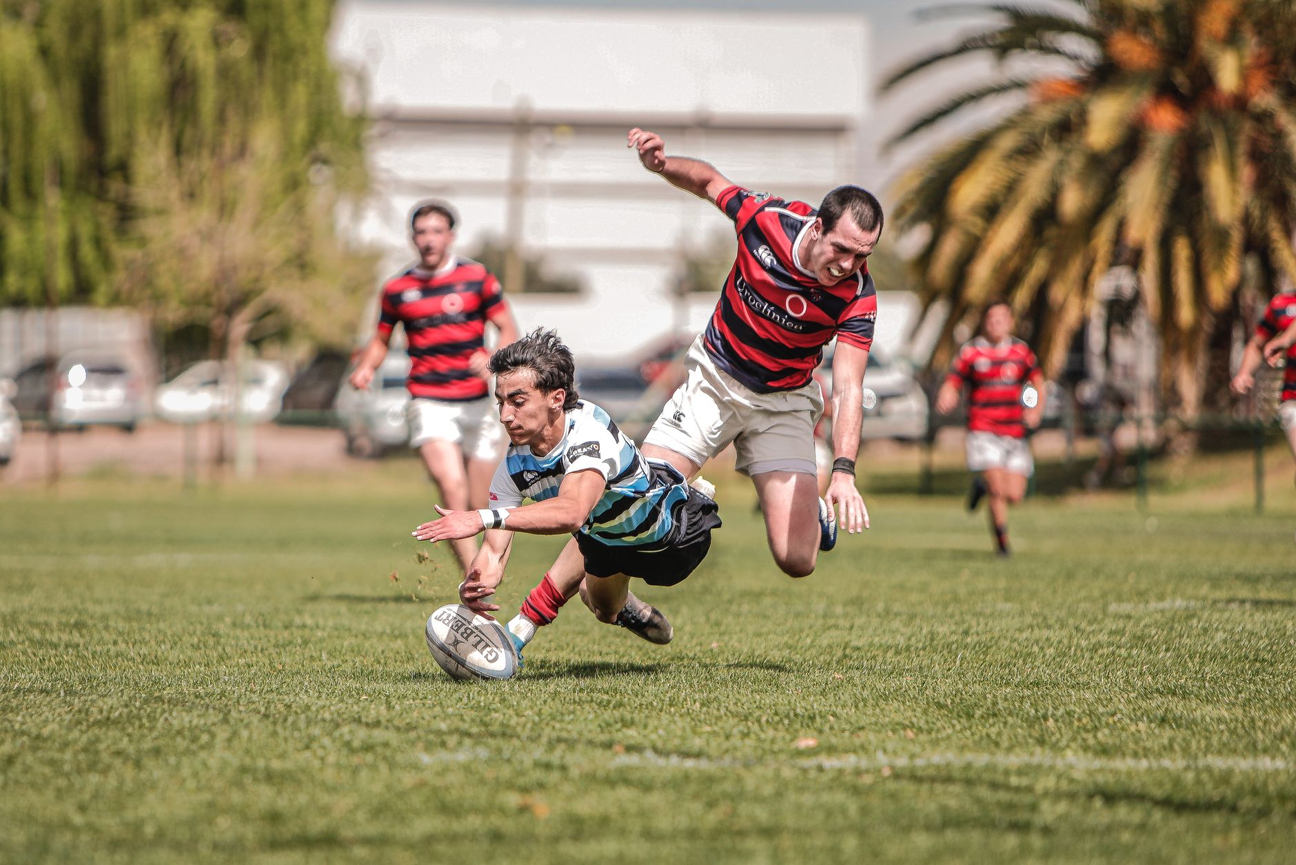 Elite Coaching: What Separates Good Trainers from Great Ones