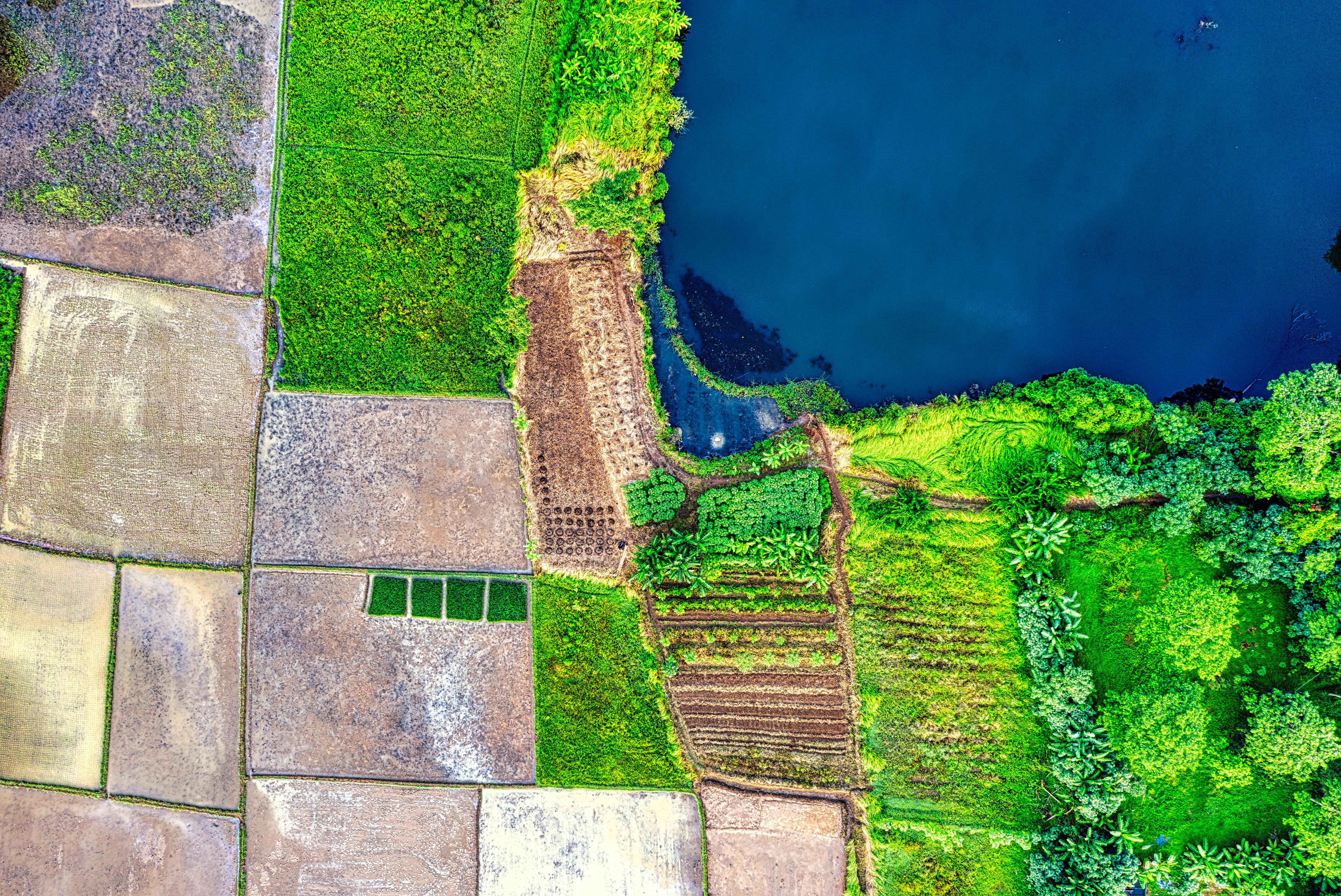 Plot evaluation for home construction