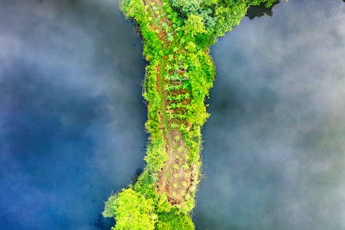 Foto stok gratis alam, danau, dari atas