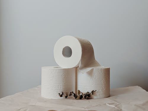 Stack of Toilet Paper Rolls