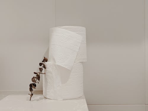 White Toilet Paper Roll and Eucalyptus Branch