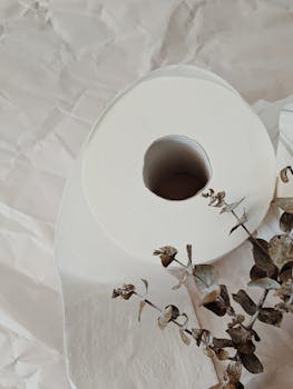Elegant minimalist composition of a toilet paper roll alongside dried eucalyptus leaves on a neutral background.