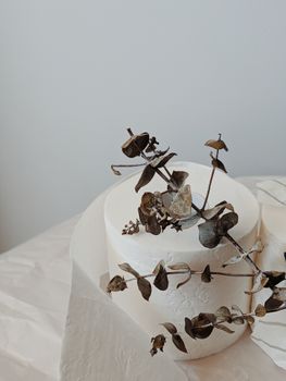 A calming still life featuring eucalyptus twigs adorned on a roll of toilet paper, illustrating minimalism and hygiene.