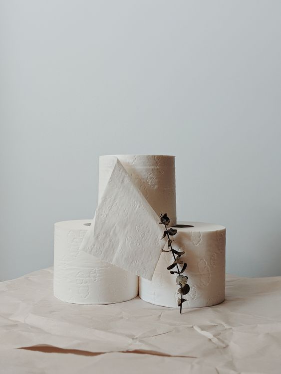 Rouleaux de papier toilette empilés — chaque rouleau contribue à la déforestation mondiale