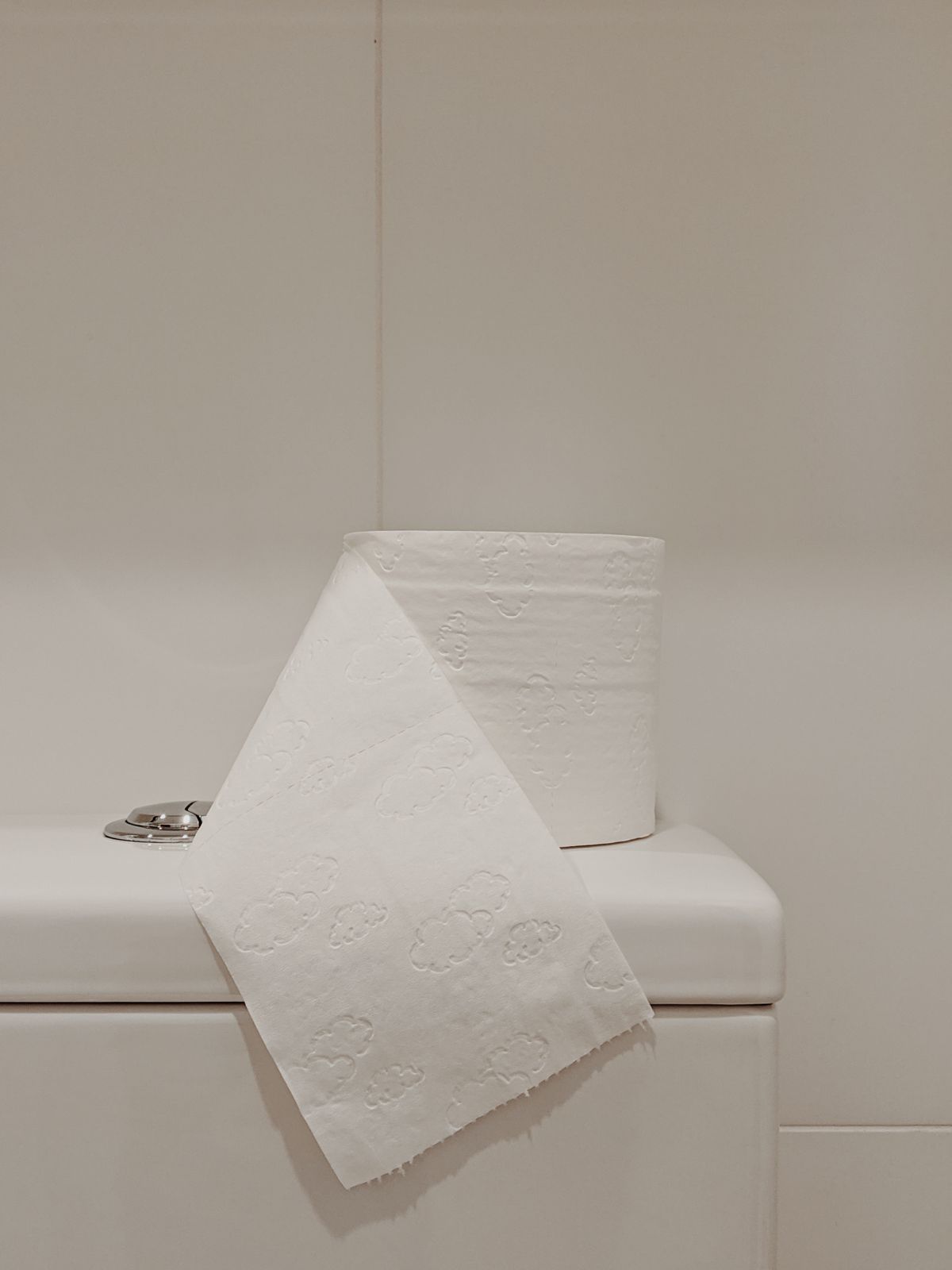 Rolo de papel higiênico em banheiro