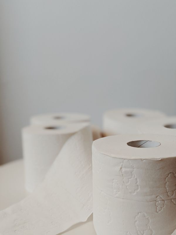 Toilet tissue rolls on a white surface