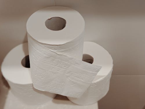 White Toilet Paper Rolls
