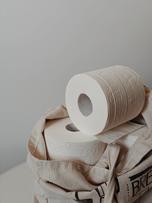 Toilet Paper Roll on Canvas Bag