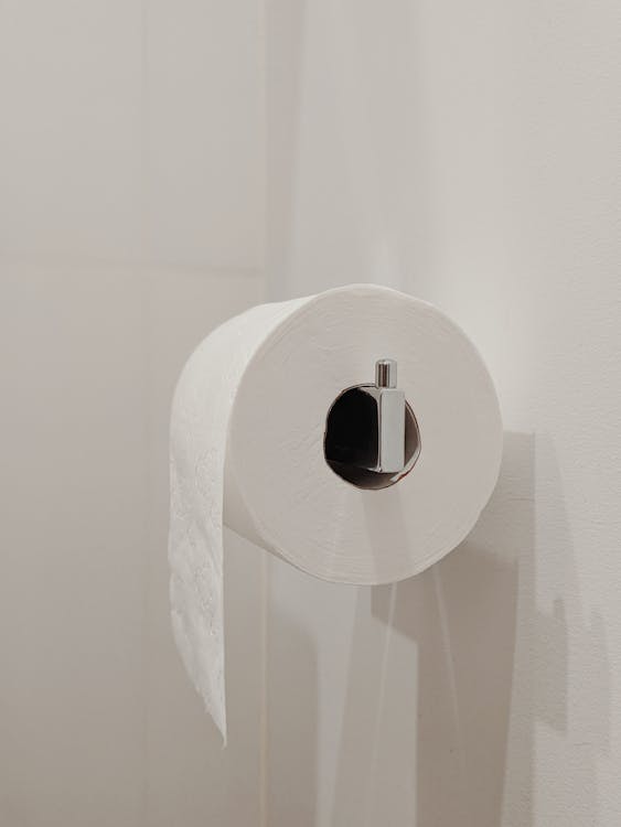 White Toilet Paper Roll on Silver Holder
