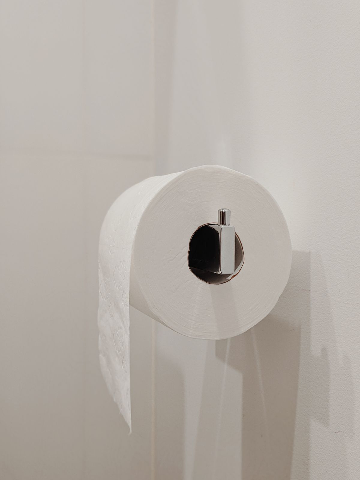 Papel higiênico branco colocado em suporte de banheiro
