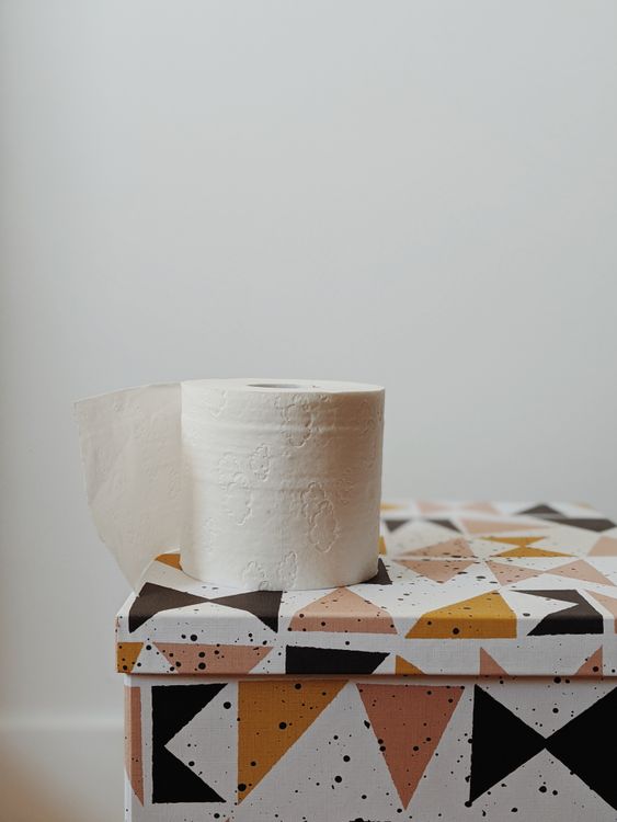 Comparatif WC japonais Maroc — bidet adaptable vs toilette complète