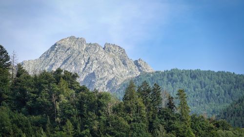 Free Stunning view of rugged mountains and lush green forests in Saltaus, Italy. Stock Photo